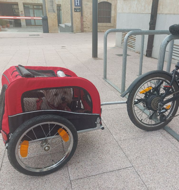 Dog carrier for medium/small dog